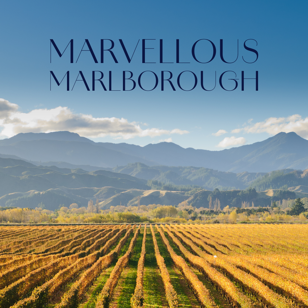 Image of Marvellous Marlborough